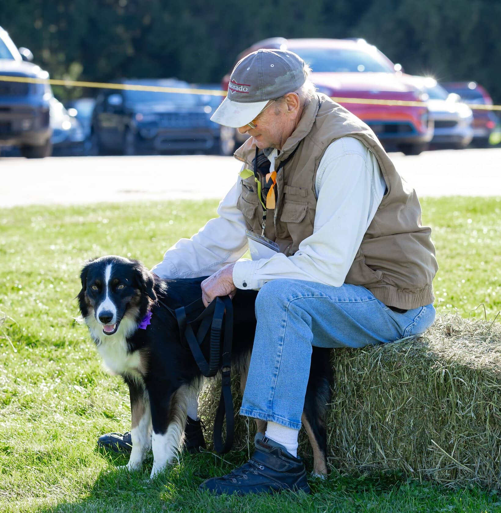 Dogs and Cancer Support