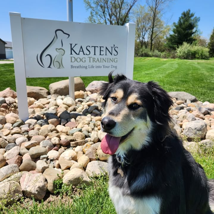 Kasten's Dog Training