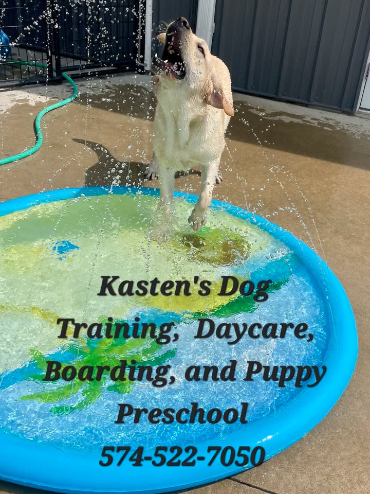 Kasten's Dog Training