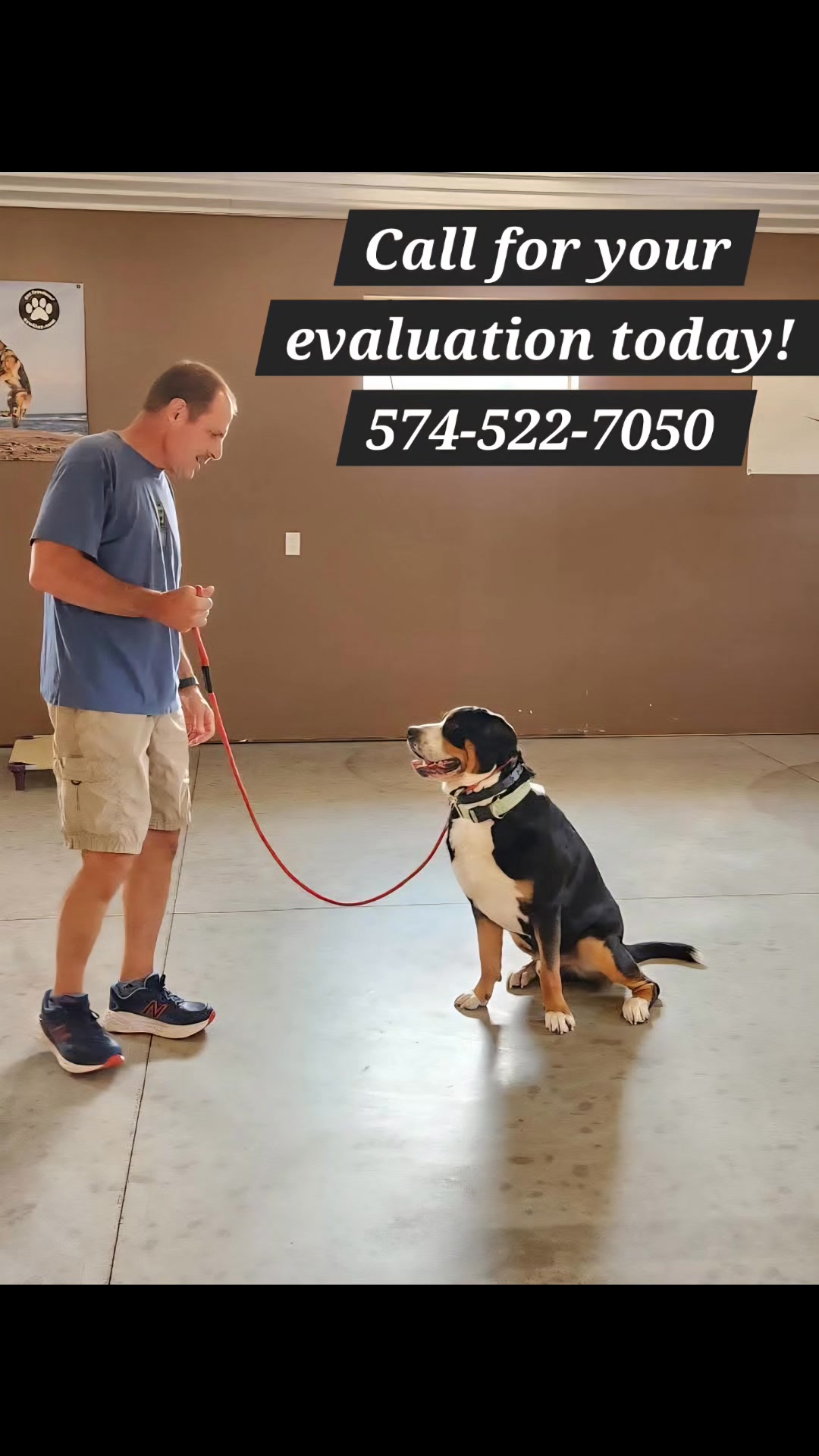 Kasten's Dog Training