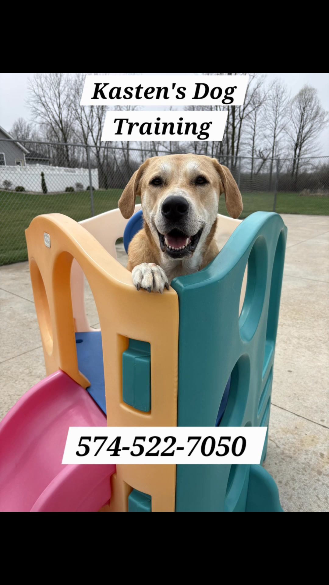 Kasten's Dog Training