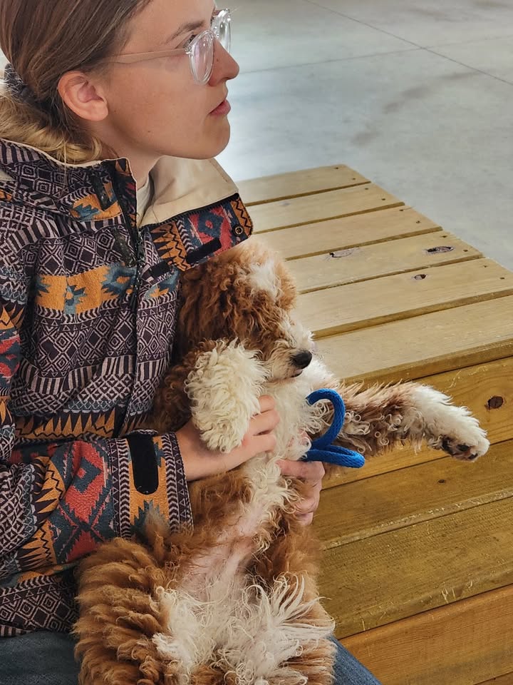 Kasten's Dog Training