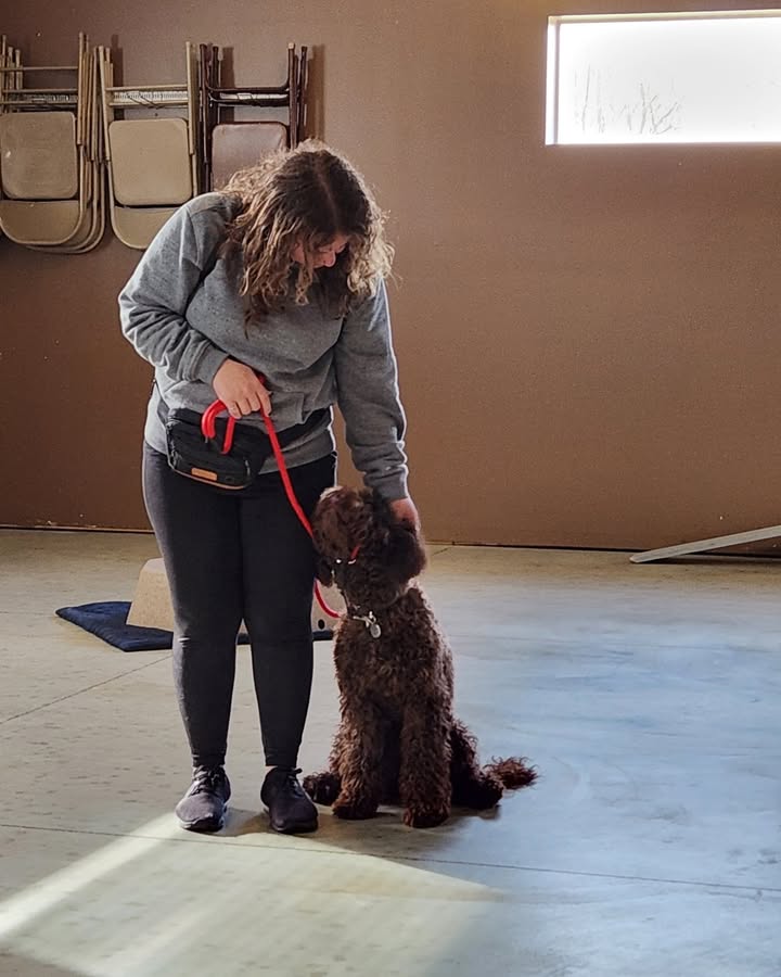 Kasten's Dog Training