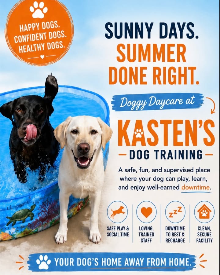 Kasten's Dog Training