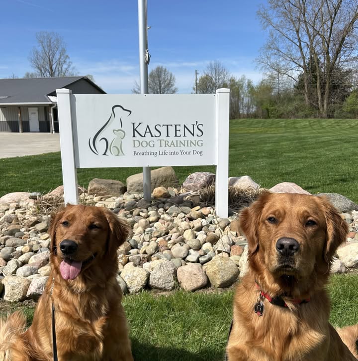 Kasten's Dog Training
