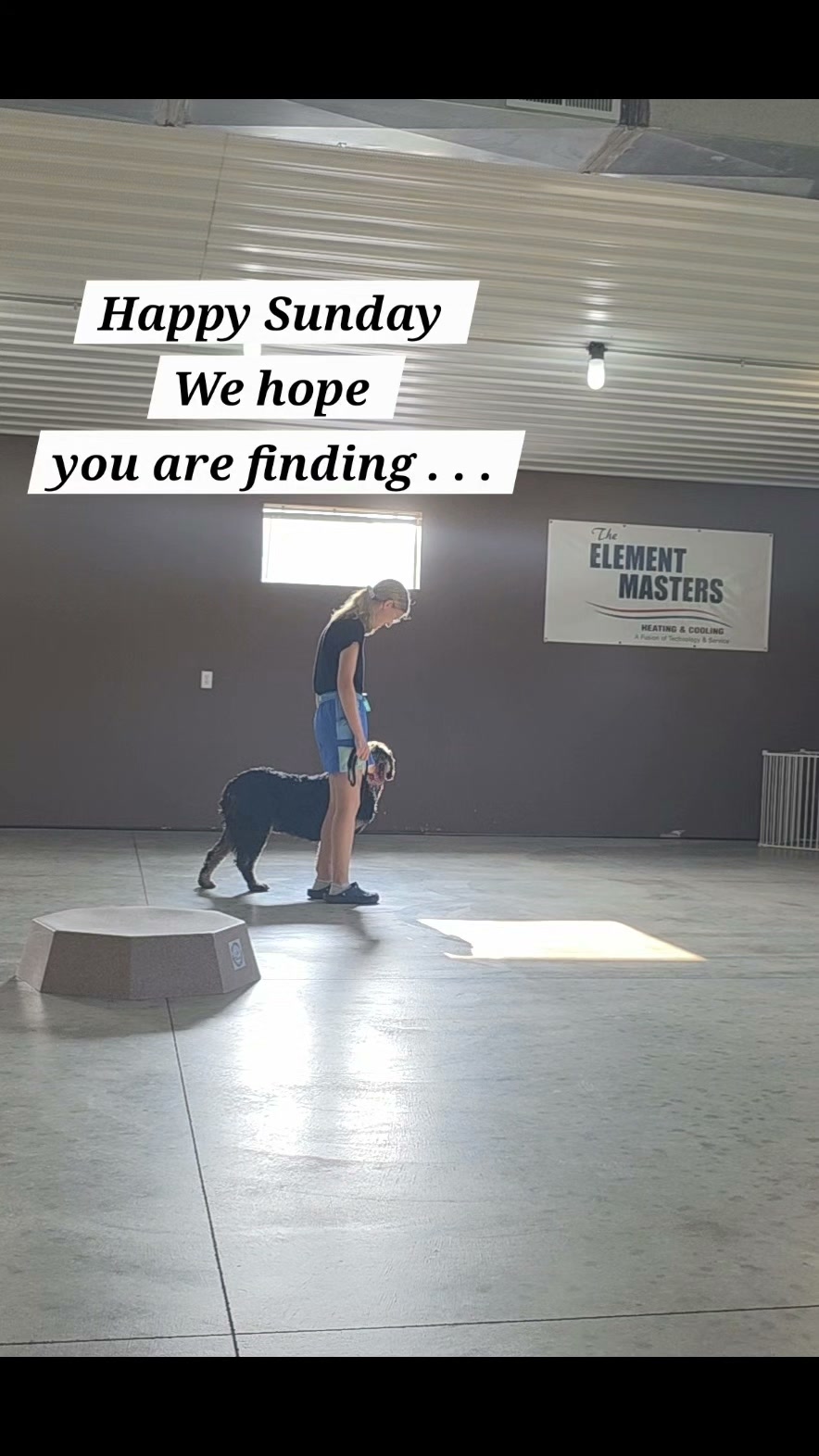 Kasten's Dog Training