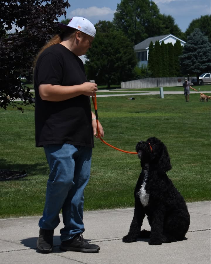 Kasten's Dog Training