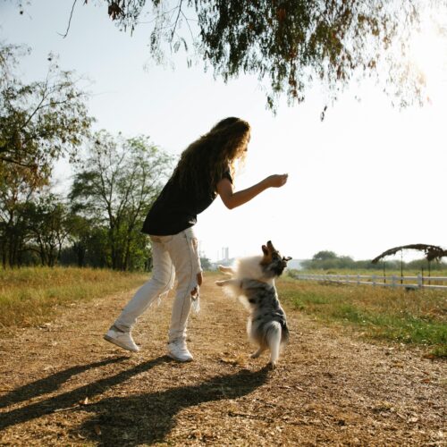 How to Build a Strong Bond with Your Dog Through Play