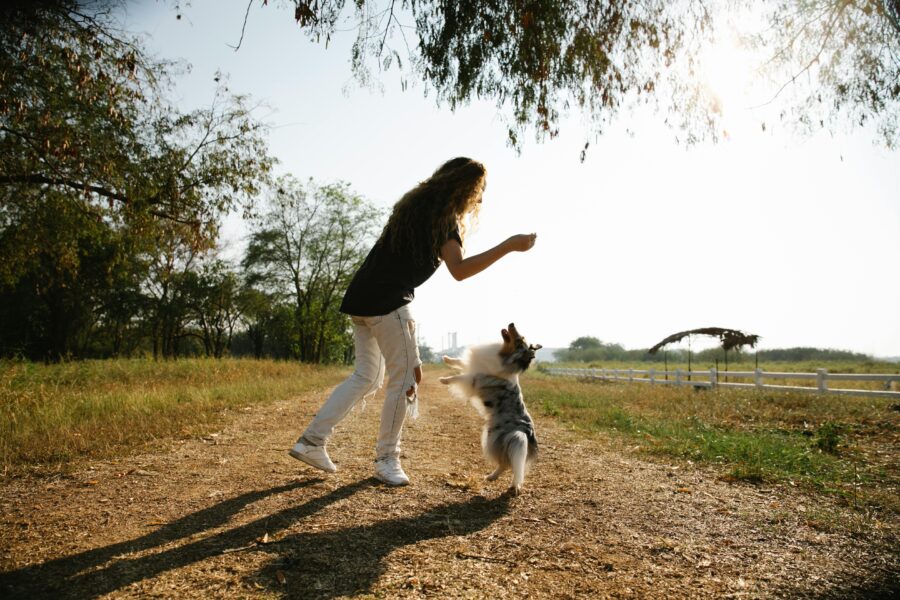 How to Build a Strong Bond with Your Dog Through Play