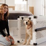 Crate Training Your Dog