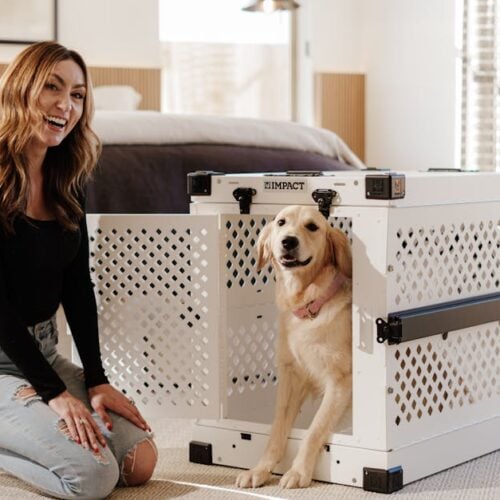 Crate Training Your Dog, Three Essential Tips