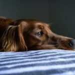 early signs of illness